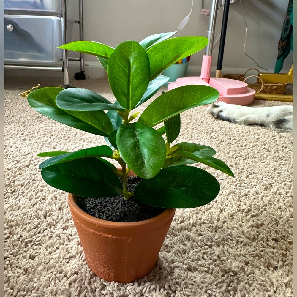 Hearth and Hand Small plant